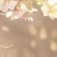 鋤禾社群（影片）
