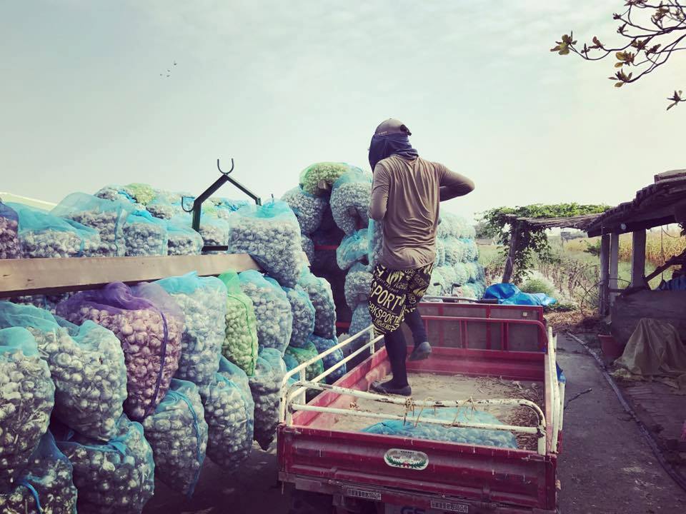 青年返鄉-妳好南搞-南國微醺-06