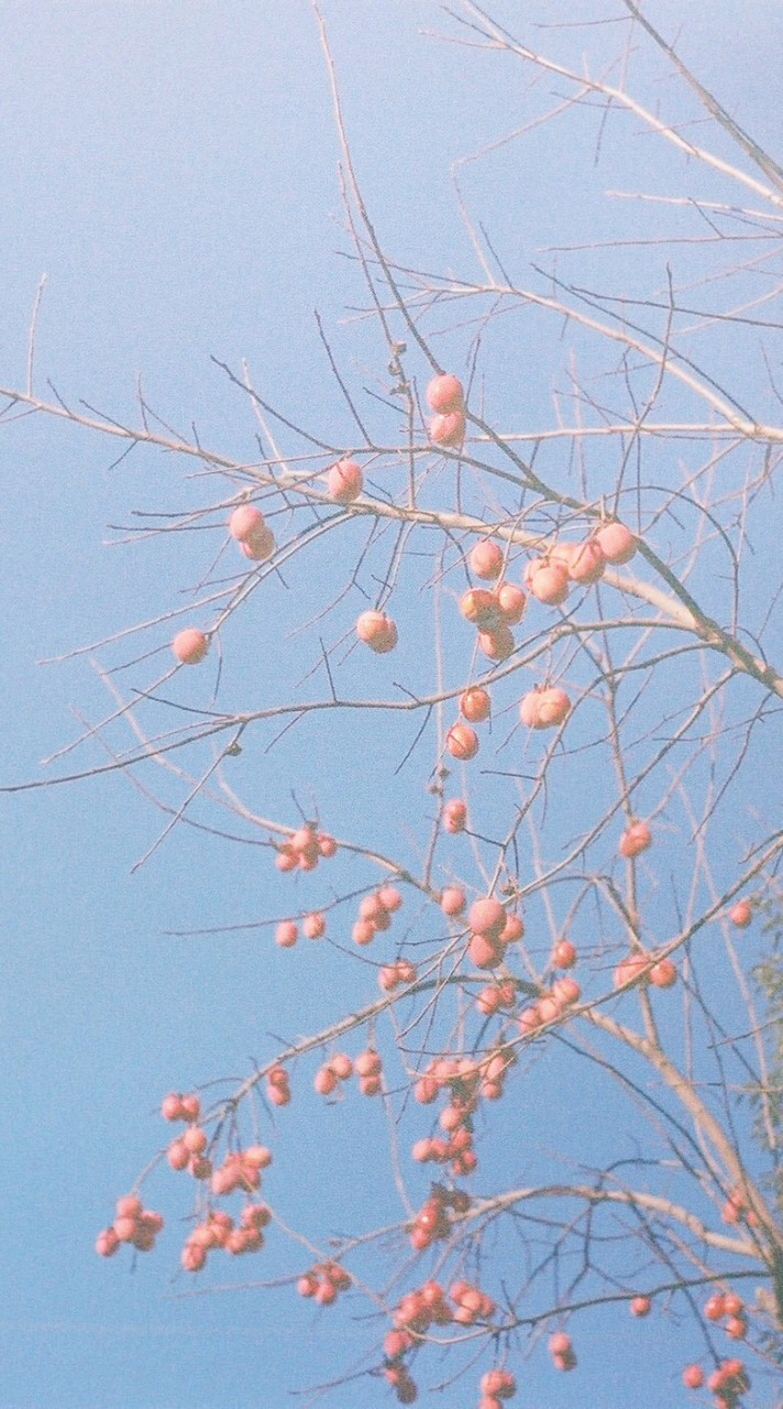 I use film