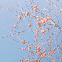 I use film