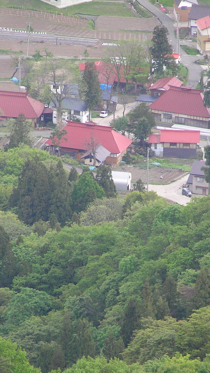 里山の恵みを楽しむワークショップ（フォレスト工房もくり）
