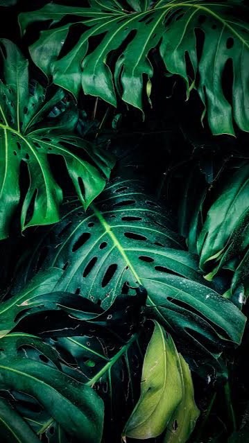 เบิกคชจ.