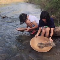 ร่อนทอง