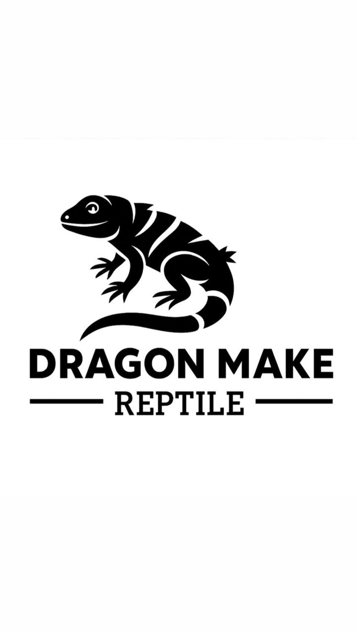 DragonMake 蜥蜴製造所🦎
