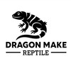 DragonMake 蜥蜴製造所🦎