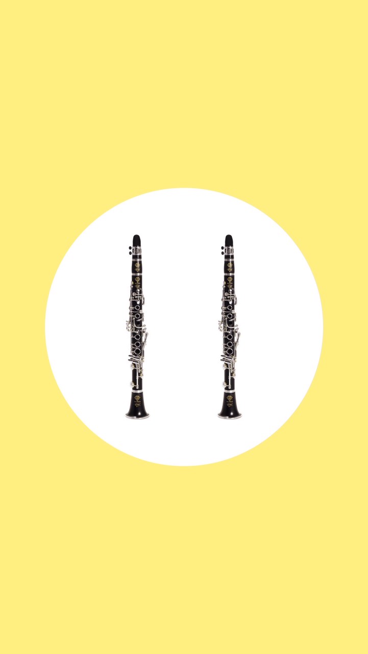 えすくりゃーでゅお(EsClarinet)