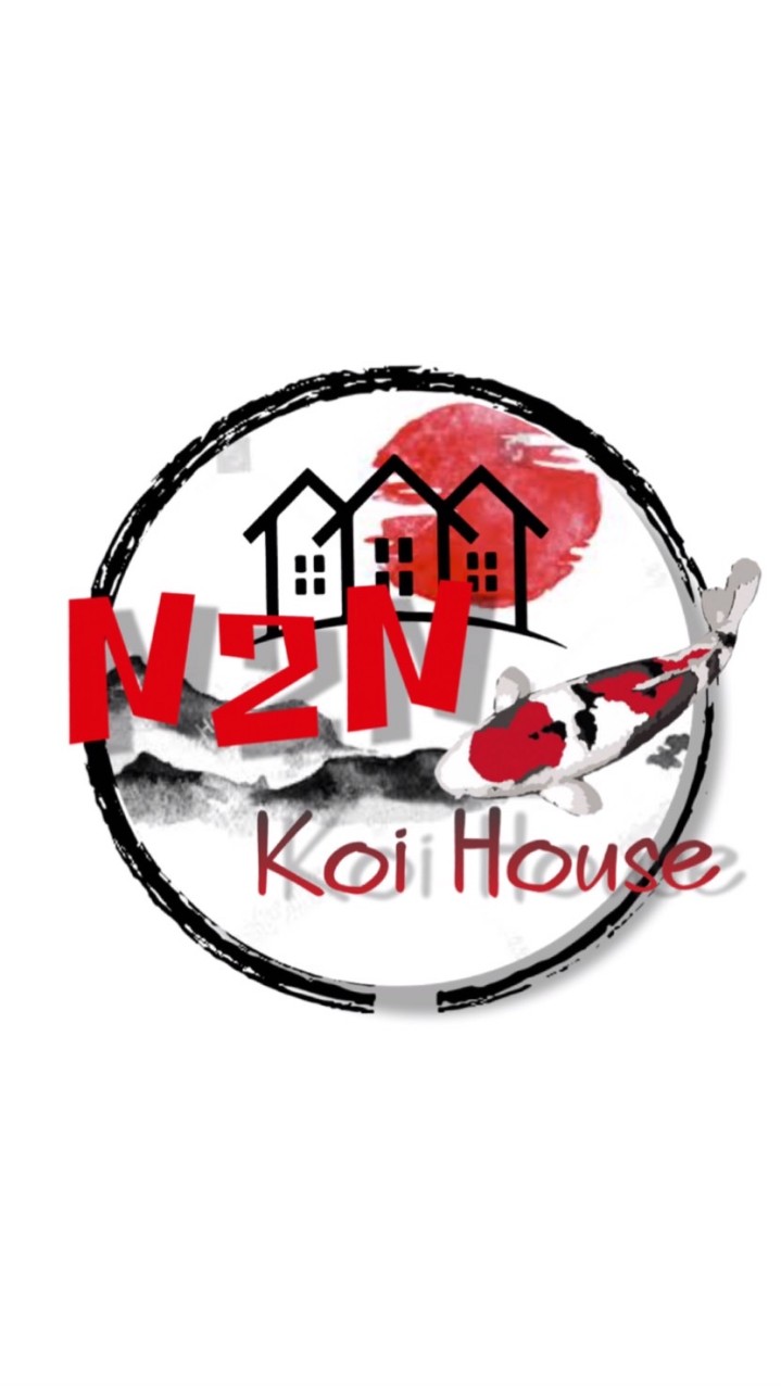 N2N Koi House