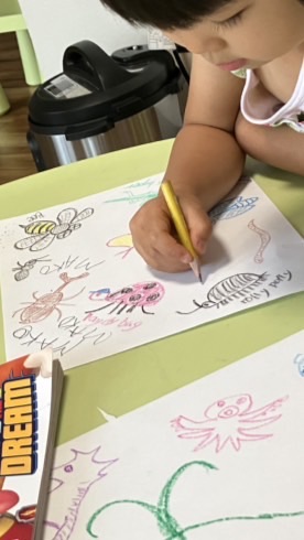 1日1文　おうち英語を学ぼう‼️