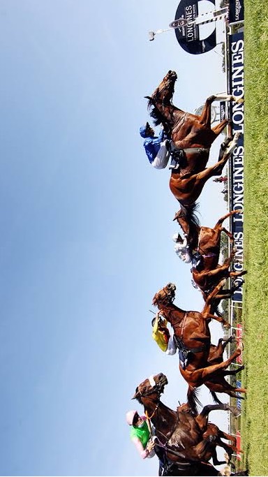 競馬で稼ごう🏇情報共有の場のオープンチャット