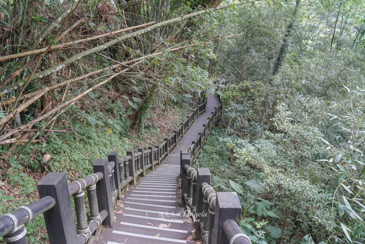 避暑祕境快收藏！苗栗６條免門票「私房步道」：羽量級小百岳、美國大峽谷