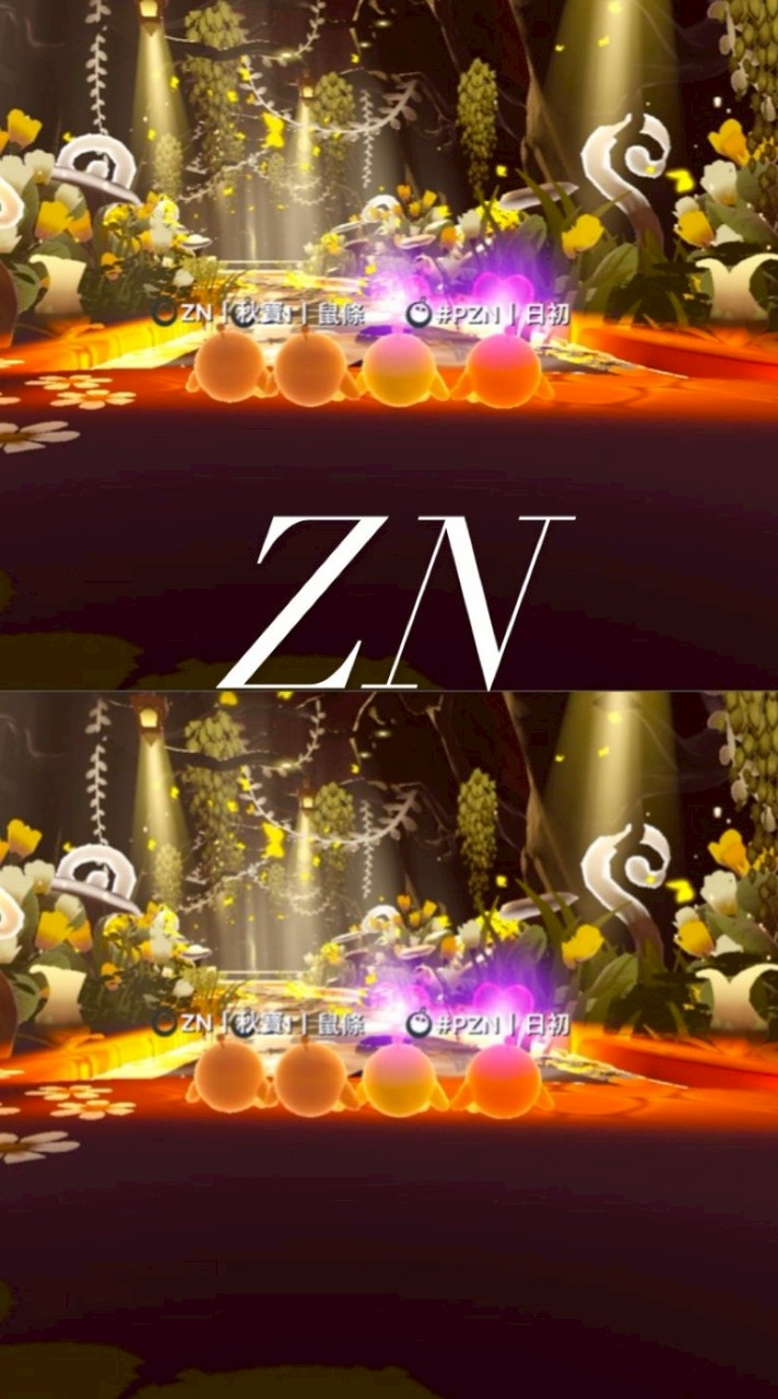 ZN 戰隊