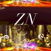 ZN 戰隊
