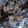 雑談🌠主婦の集い💖子供無しさん限定🌸