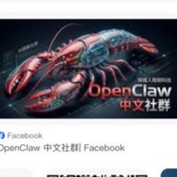 前端OpenClaw 🦞 中文化工程師分享（電腦、家電手機）