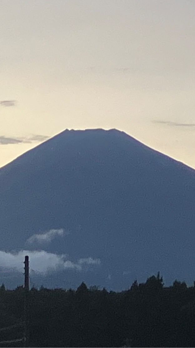 静岡タンゴ情報