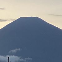 静岡タンゴ情報