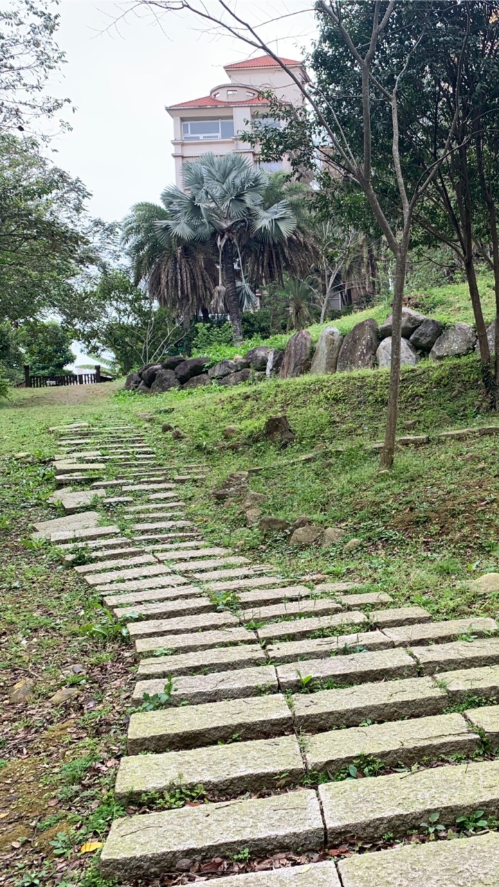 桃園虎頭山健行隊