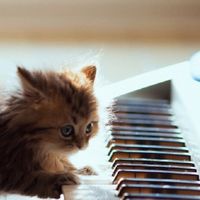 ピアノ上級者さん！集まれ〜