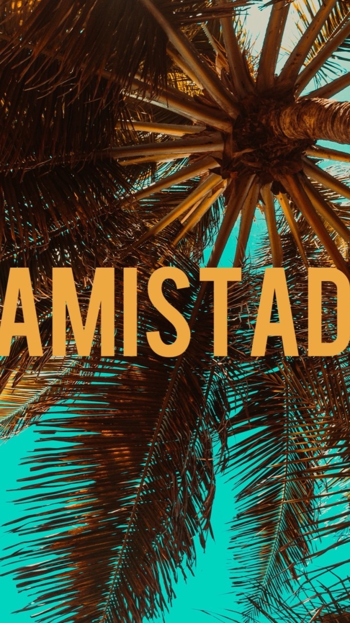 AMISTAD【アミスタ】official