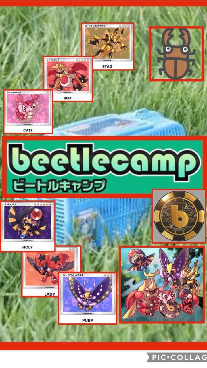 Beetle Camp (ビートルキャンプ)nori0426のオープンチャット