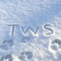 TWS喬喬代購群