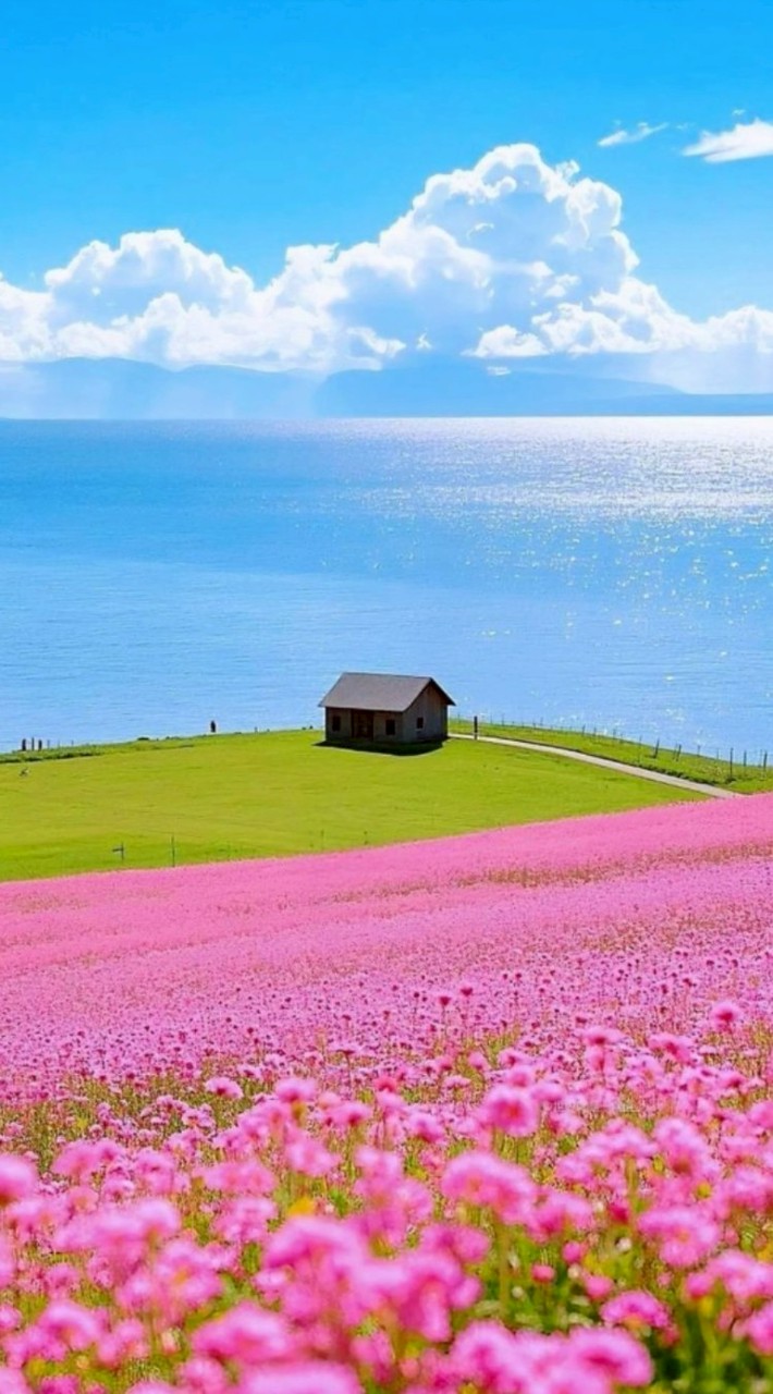 40代・  島根県 🍀友達の輪👫👬👭