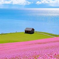 40代・  島根県 🍀友達の輪👫👬👭