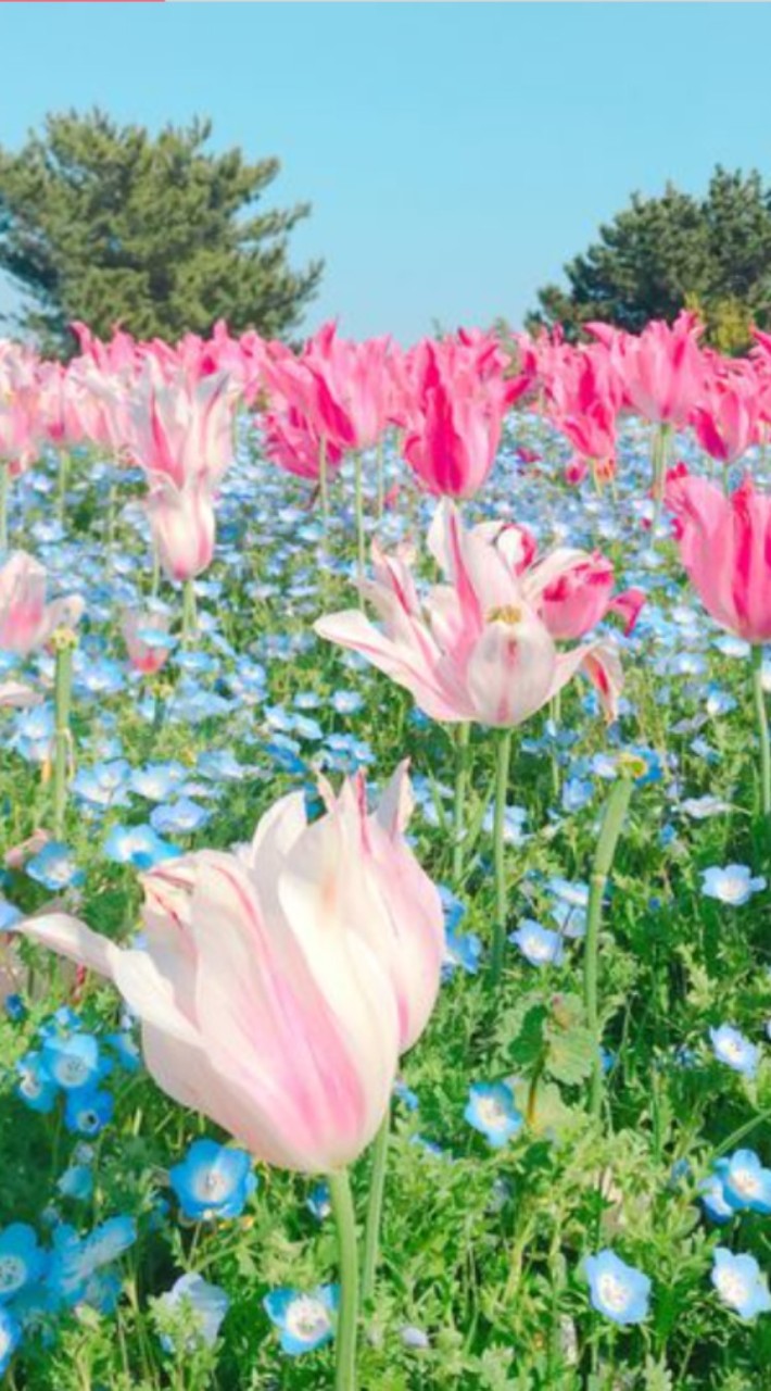 💕💕大分  ３０代～大人の雑談部屋🎶