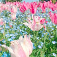 💕💕大分  ３０代～大人の雑談部屋🎶