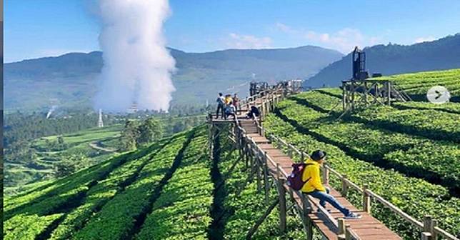  Tempat  Wisata  Baru di Bandung  Kebun Teh Wayang Windu 