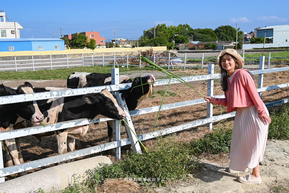 才不是景點沙漠！彰化、雲林８免門票景點：超萌乳牛牧場、全台最大寺廟公園