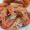 南部泰國蝦🦐-買賣平台群「高雄.屏東」