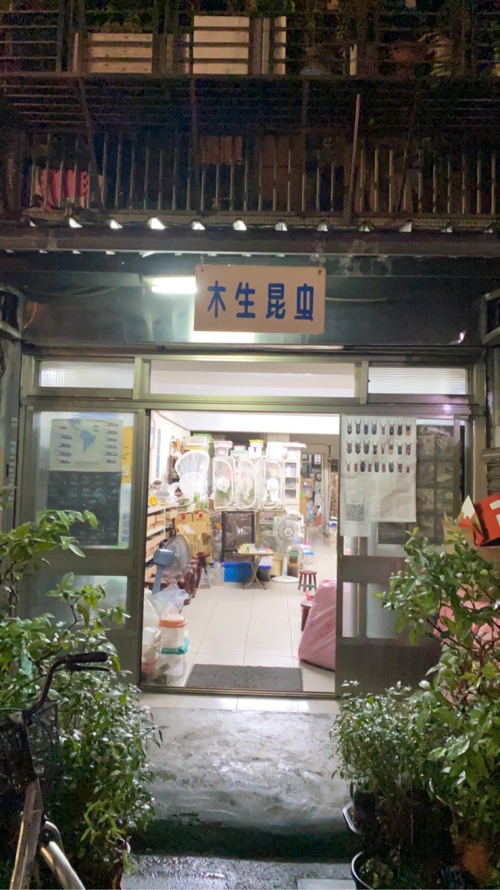 木生昆蟲坊資訊站