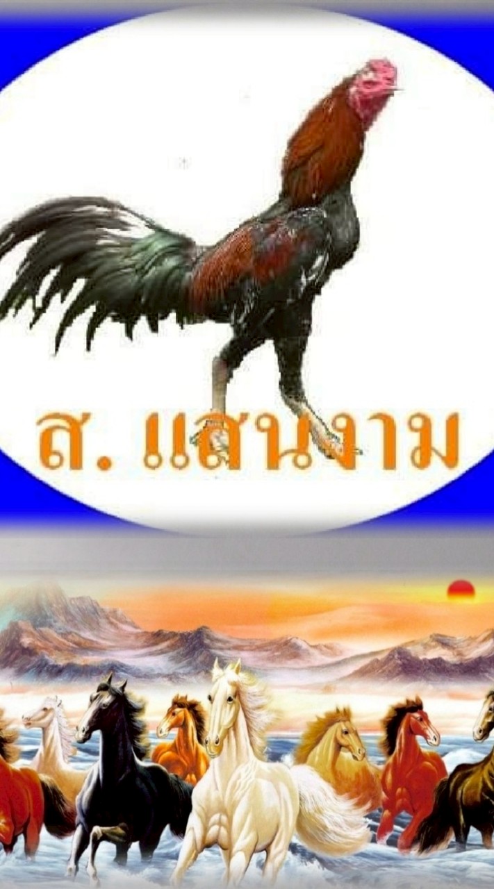💥FC ส. แสนงาม👍🏻สายกระดุมทองพัฒนา+ก๋อยตระกูลเสือ🐓💯