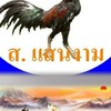 💥FC ส. แสนงาม👍🏻สายกระดุมทองพัฒนา+ก๋อยตระกูลเสือ🐓💯