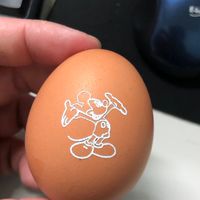 斗六蛋品9
