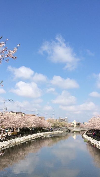 江戸川区ママ、あつまれ！！