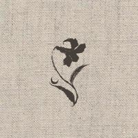 Moon · Raven