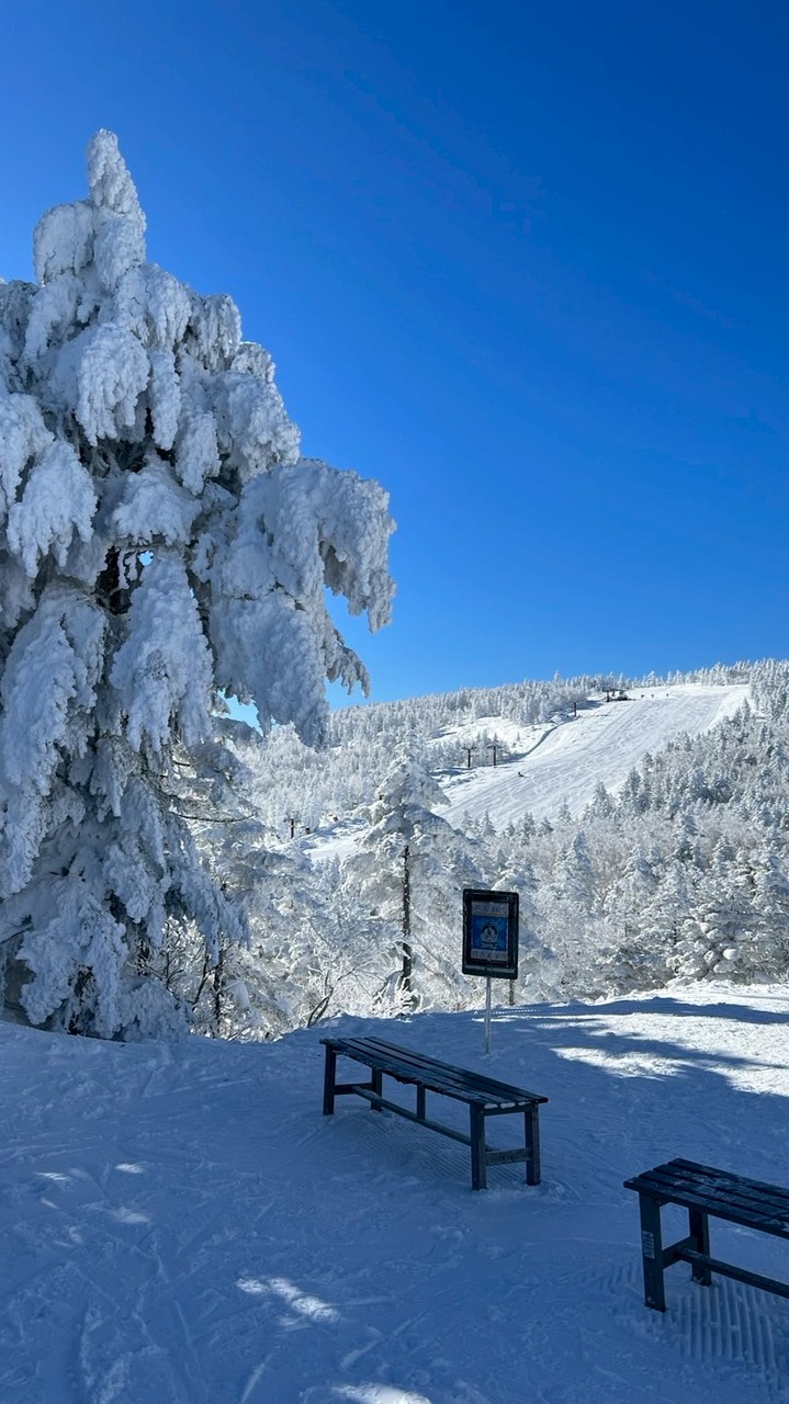 雪友社（相談室）