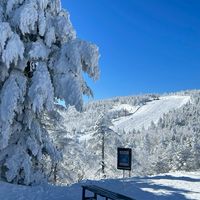 雪友社（相談室）