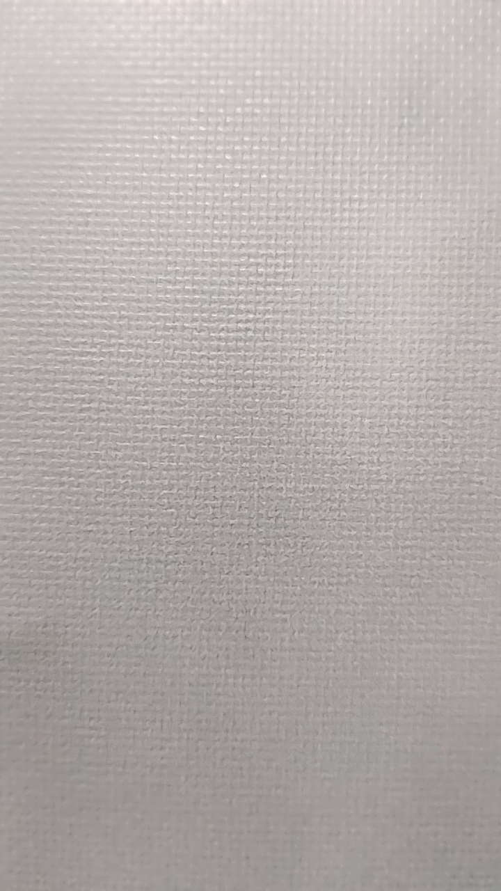 收藏家拍賣會