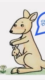 及人114袋鼠