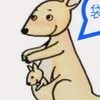 及人114袋鼠