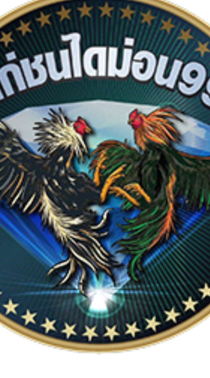 ทีเด็ดไก่ชน ไก่เดือย