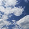 47都道府県の甘えたい人組と音楽好きな人(猫も犬も狼もおにぎりもその他も)