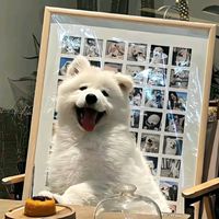 桌布頭像交流群~~