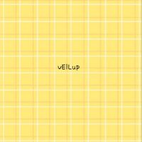 VEILup