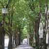 2026春のオープンキャンパス【学生座談会】