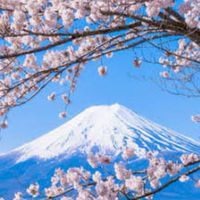 日本打工度假2026