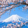 日本打工度假2026
